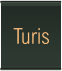 Turis