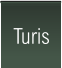 Turis